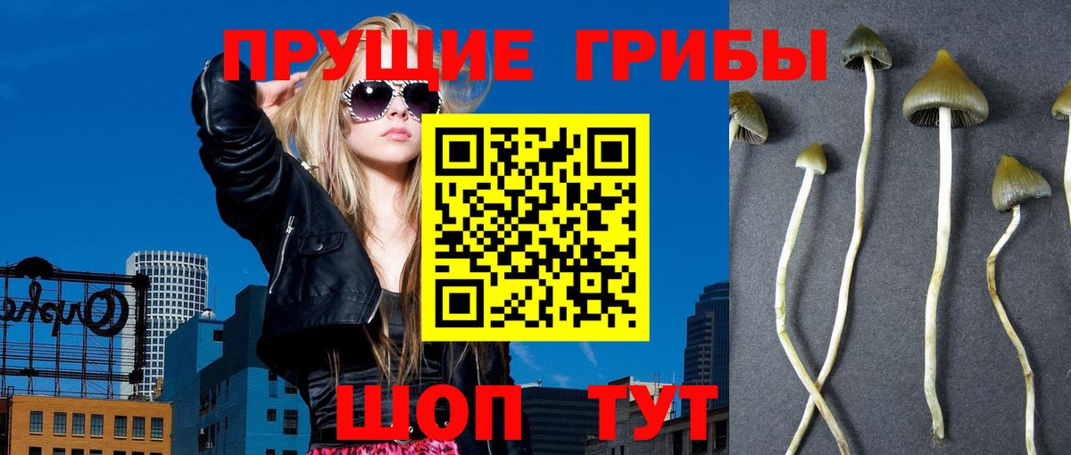 Галлюциногенные грибы прущие грибы Туймазы